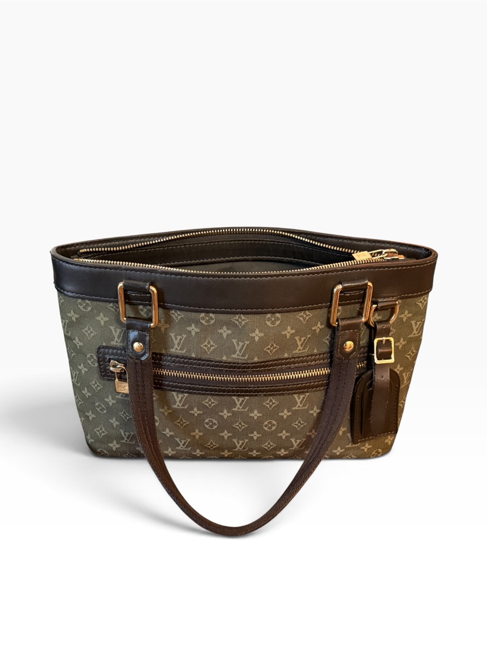 Louis Vuitton Olive Green Lucille PM Shoulder Bag with Brown Trim